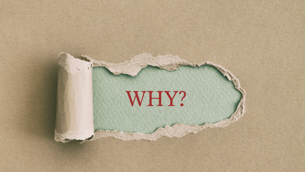 Investing for Wealth vs. Investing for Show